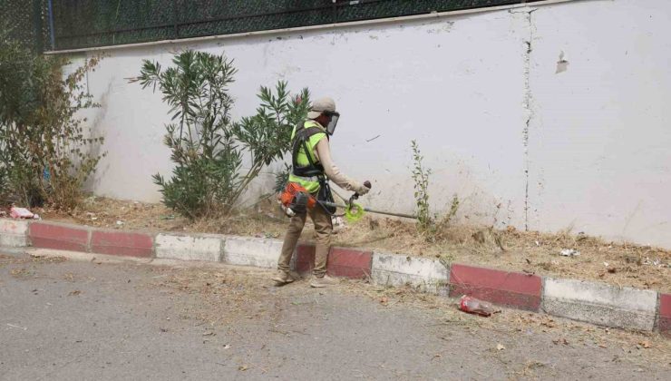 Okul bahçelerinde ot biçme çalışması yapılıyor