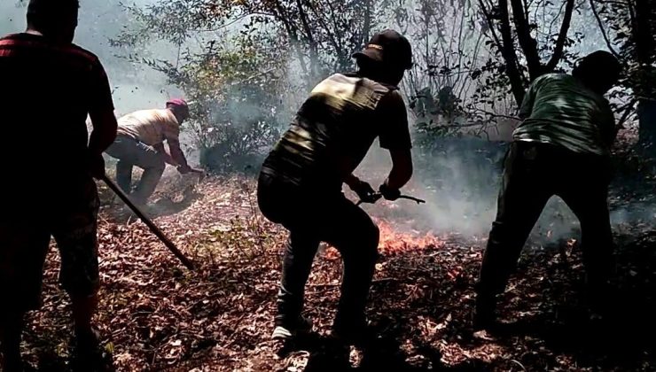 Ordu’nun iki ilçesinde çıkan yangın ekipler tarafından söndürüldü