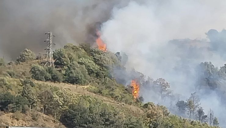 Osmaniye’nin Bahçe ilçesinde ormanlık alanda yangın çıktı