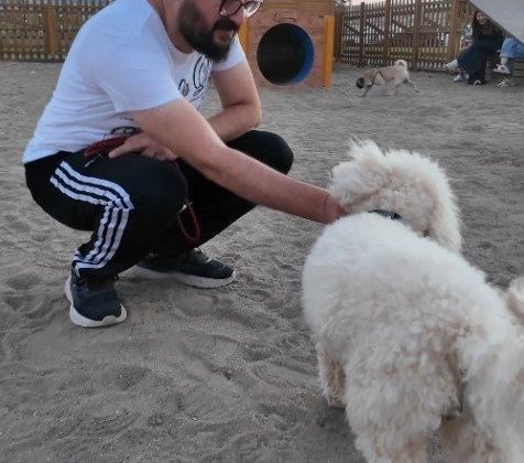 Proteo Köpek Eğitim Parkuru’na tam not