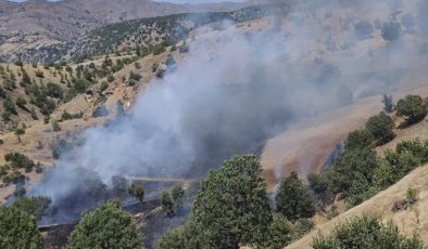 Pütürge’de orman yangını