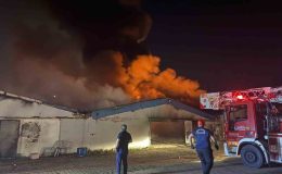 Sakarya’da boya fabrikasında yangın