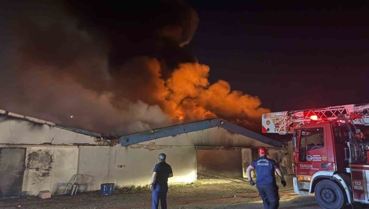 Sakarya’da boya fabrikasında yangın