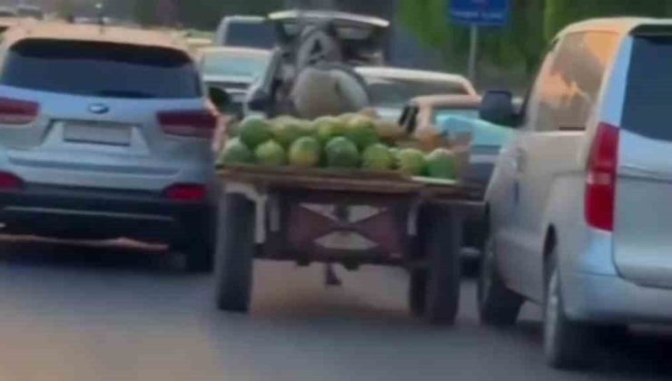 Şam’da karpuz yüklü at arabası trafiği birbirine kattı