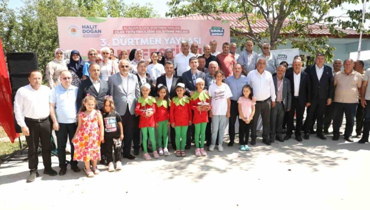 Samsun’da çileğin kalbi Dürtmen Yaylası’nda attı