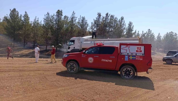 Şanlıurfa’da orman yangını