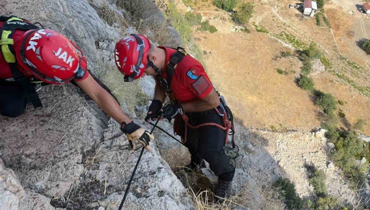 Serik’te uçurumda 3 gündür mahsur kalan keçi, ekipler tarafından kurtarıldı