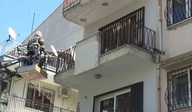 Sevimli kediyi kurtarmak için tüm ekipler seferber oldu, o kurtarılacağı anda atlayıp gitti