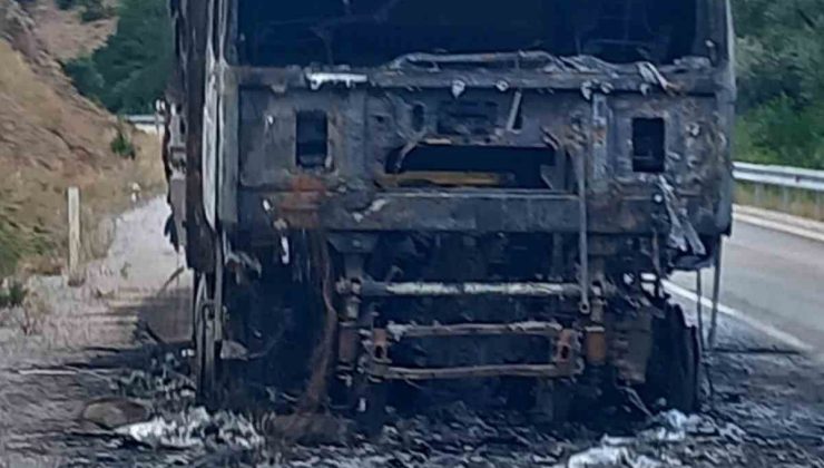 Seyir halindeki çekici alevlere teslim oldu