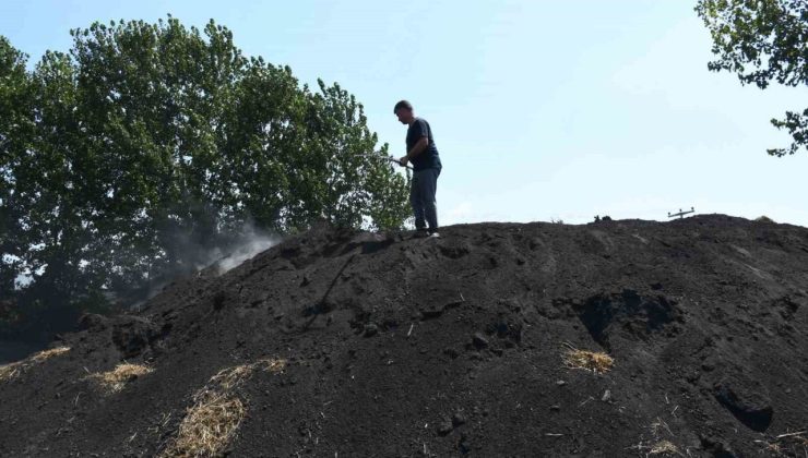 Sıcak havada kömür üretimi mesaisi