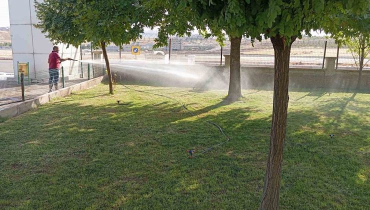 Siirt il otogarında kapsamlı temizlik ve bakım çalışması yapıldı