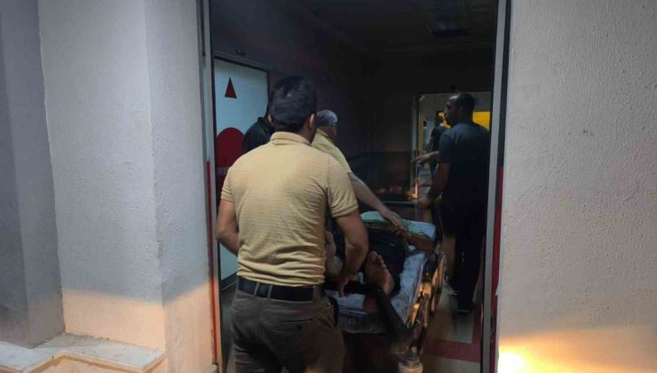 Siirt’te ağaçtan düşen adam yaralandı