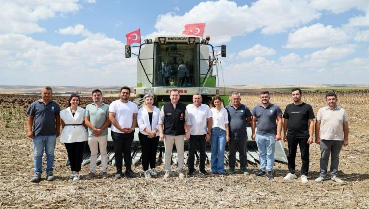 Silivri’de yaklaşık bin 500 dekar alanda ayçiçeği hasadı başladı