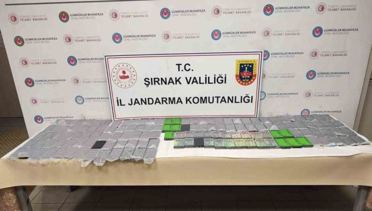 Şırnak’ta 8 milyon lira değerinde gümrük kaçağı ürünler ele geçirildi