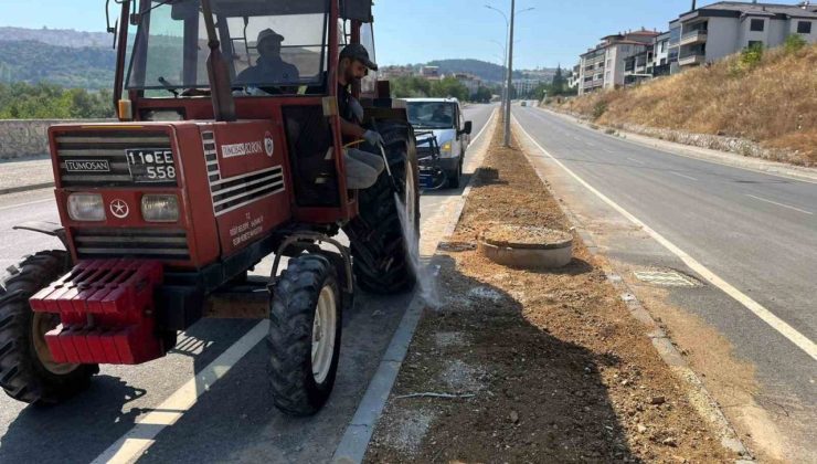 Söğüt’te refüjler ve yeşil alanlar yenileniyor
