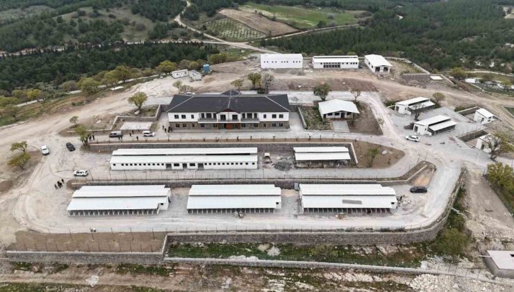 Sokak hayvanları doğal yaşam alanlarına denetim