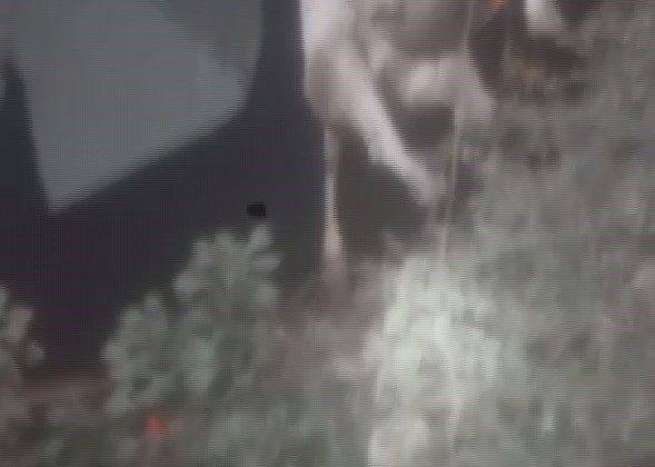 Sulama kanalına düşen ineği itfaiye ekipleri kurtardı