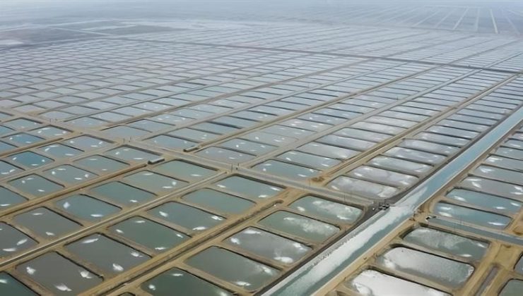 Tarıma Dayalı İhtisas Su Ürünleri Organize Sanayi Bölgesinde ön talep süreci başladı