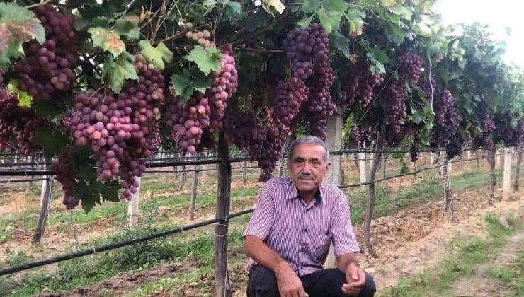 TARİŞ’in açıkladığı üzüm fiyatına tepki