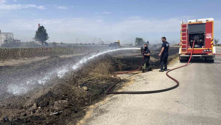 Tekirdağ’da çıkan yangın korkuttu