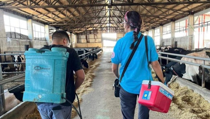 Tekirdağ’da hayvan hastalıklarıyla mücadelede aşılama çalışmaları sürüyor