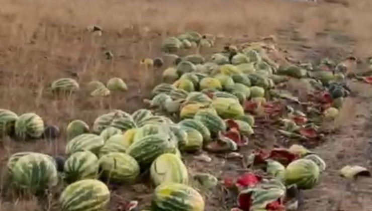 Tekirdağ’da israf tepkisi: Karpuzlar yola saçıldı