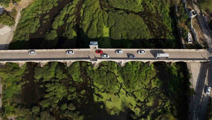 Tunca Nehri’nde kuraklık: Otlar yayıldı, su yüzeyi yeşile döndü