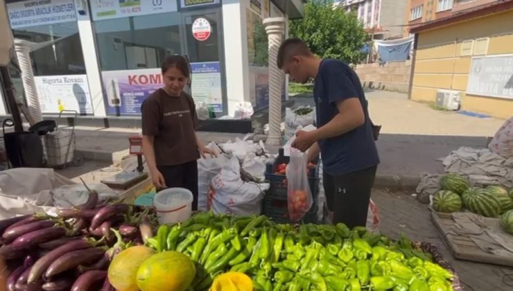Üniversiteli kardeşler hem aileleri hem de kendileri için üretiyor