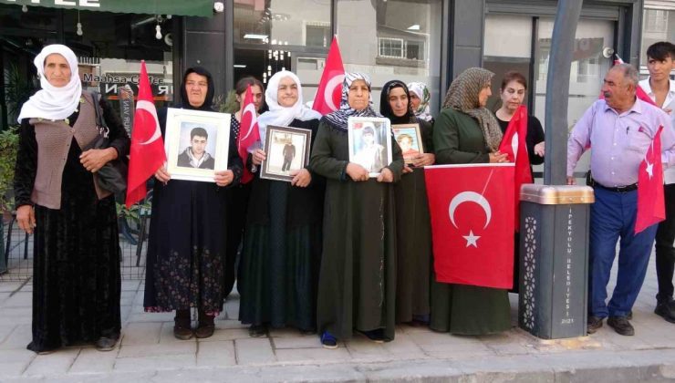 Vanlı ailelerin eylemi 107’nci haftasına girdi