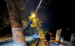 Yalova’da ağaca çarpan motosikletli ağır yaralandı