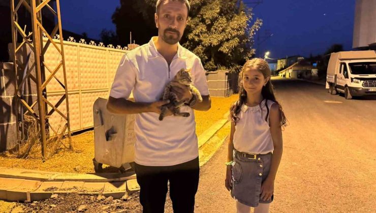 Yüksekova’da baba-kız yaralı kediyi hayata döndürdü