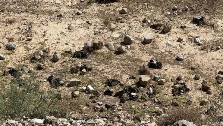 Yüksekova’da mezarlık yanına bırakılan bira şişeleri tepki topladı