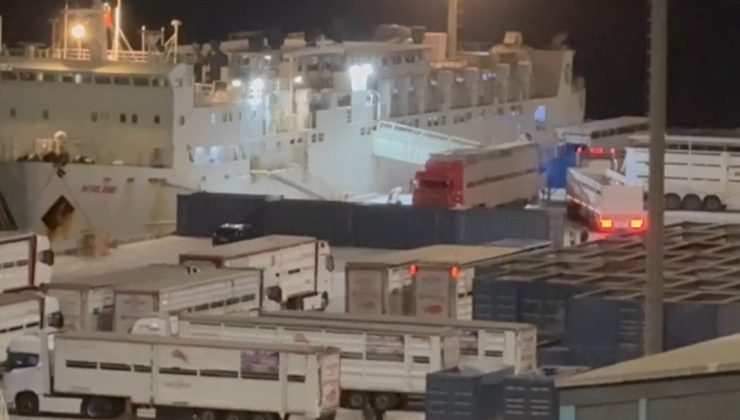 “Yüzen Ahır” yine Bandırma’da: Çelebi Limanı’na tepkiler büyüyor