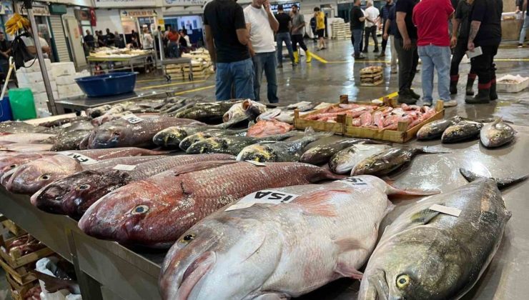 Av sezonu başladı, İzmir Balık Hali bereketle doldu