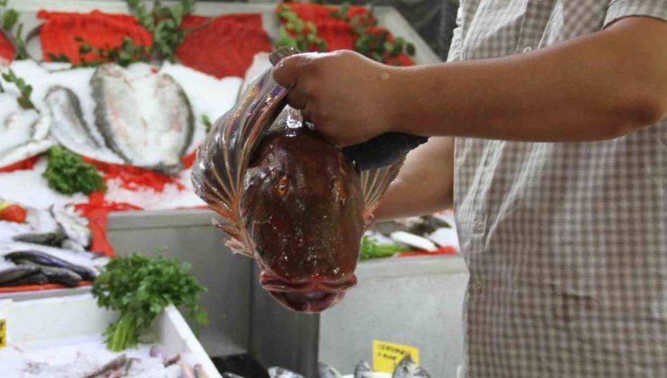 Çarşamba’da tezgahlar şenlendi